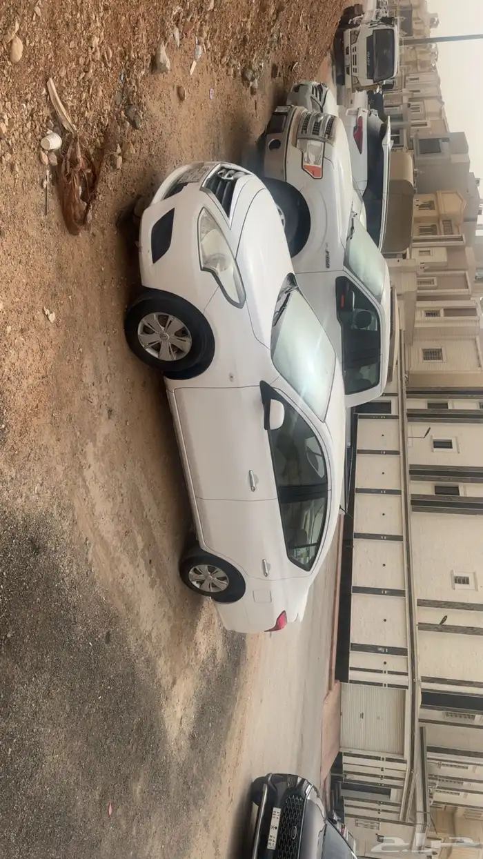 صني2019 6