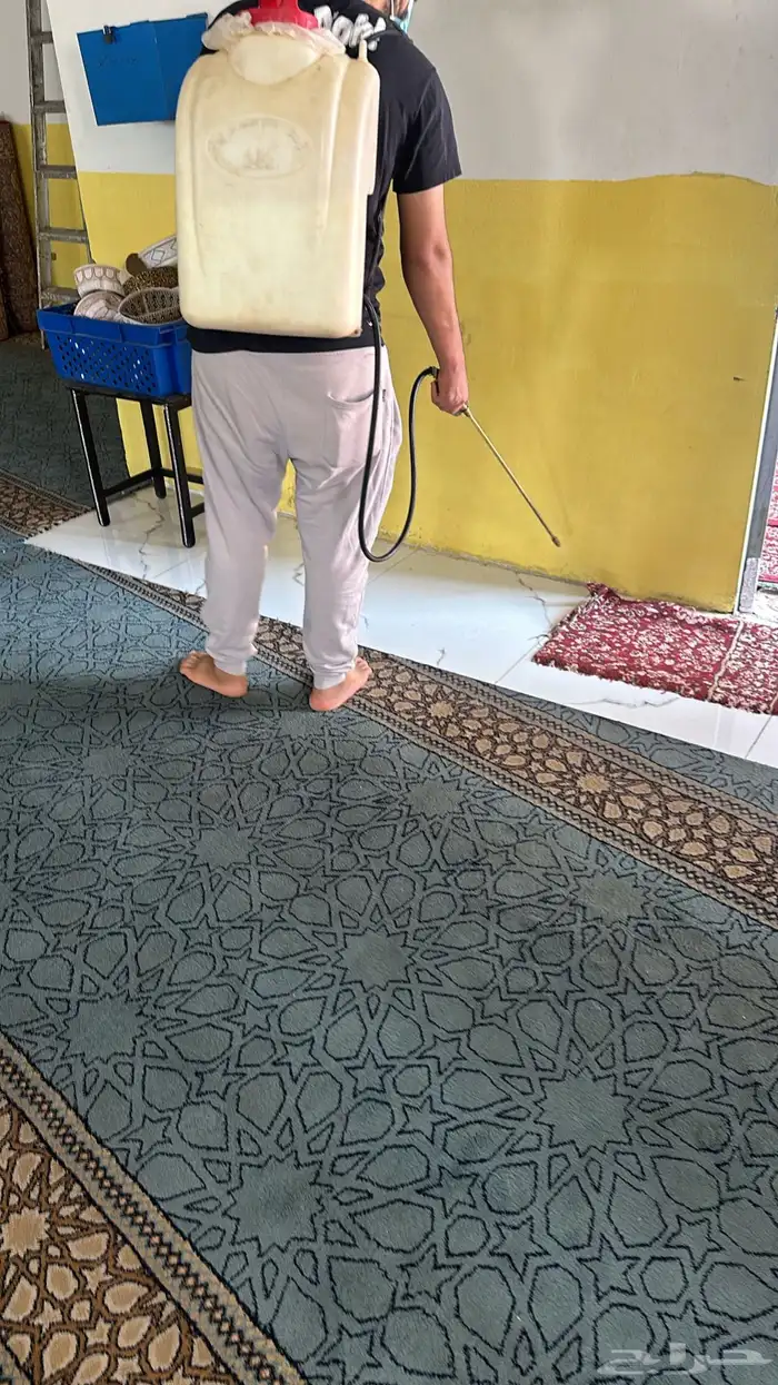 شركة مكافحة حشرات رش صراصير وبق وعقارب بالمدينة المنورة 2
