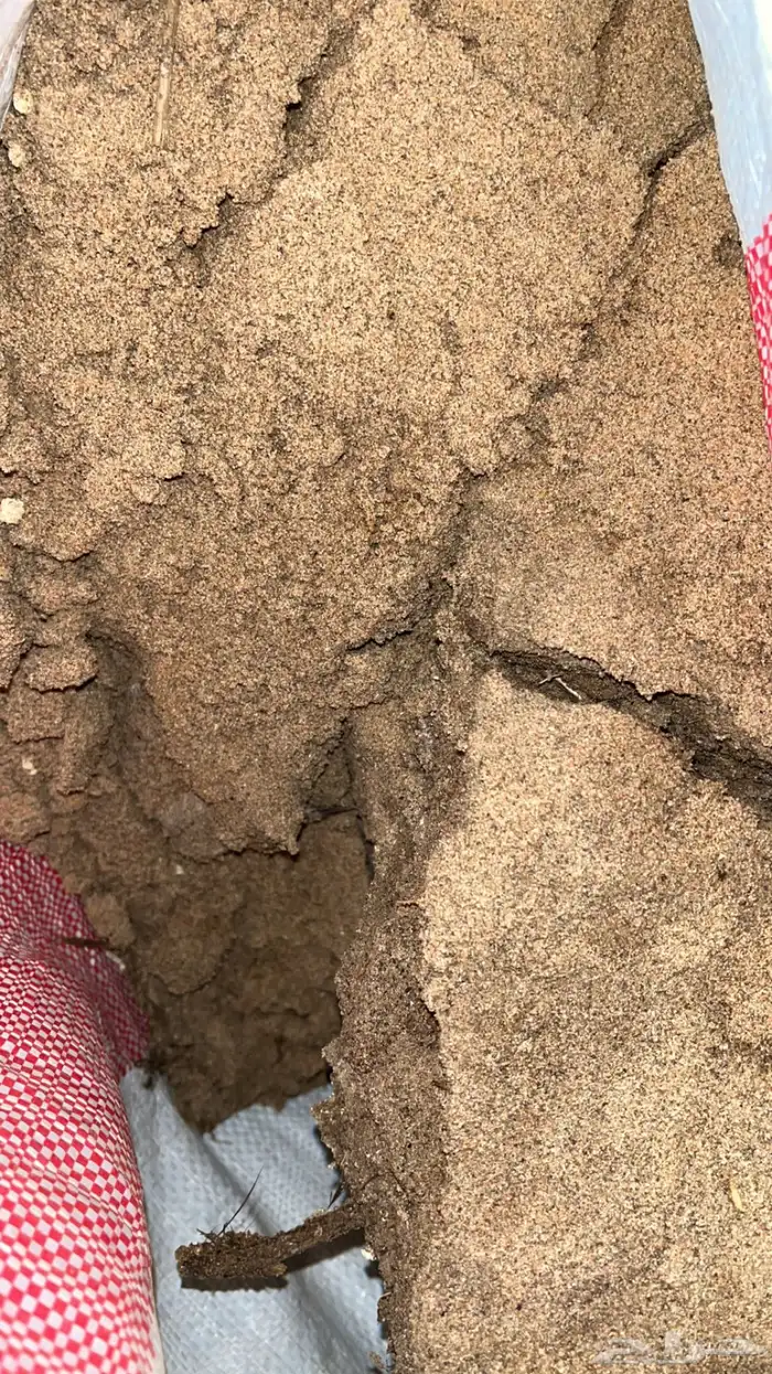 سماد دجاج بلدي مخلوط مع رملة لياسه لزراعه 1