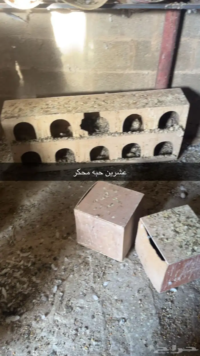 محاكر حمام خشب 0