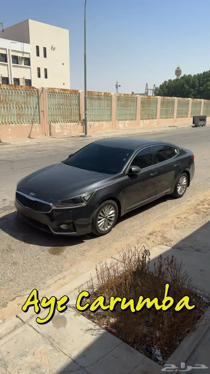 كادينزا2018 6