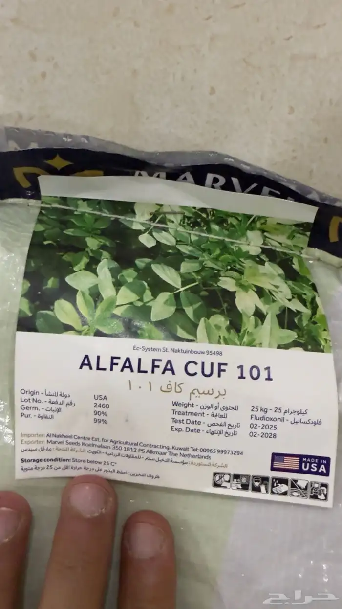 بذور برسيم امريكي كاف 101 1