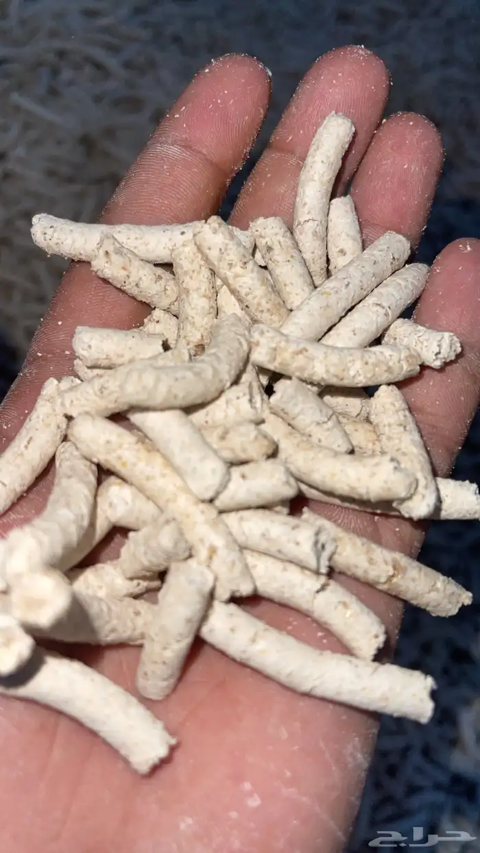 مكعب طحين مخلوط 1