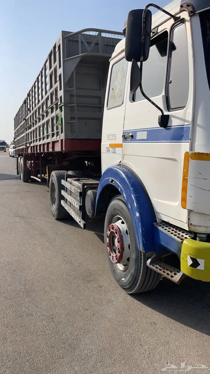 راس البي 88 حجم 1735 وتيدر 12.50 2