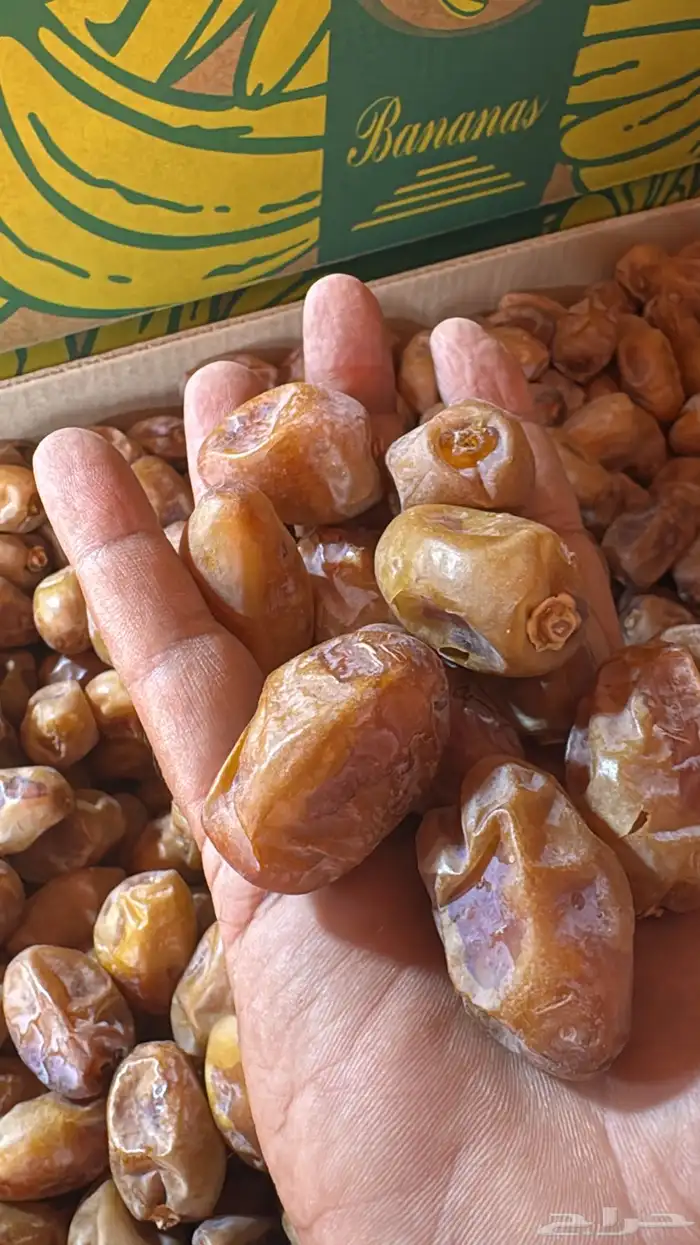 تمر خلاص طيب من المزرعه مباشر 1