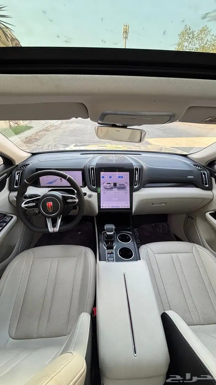 فاو هونشي HS3 2024 للبيع 17