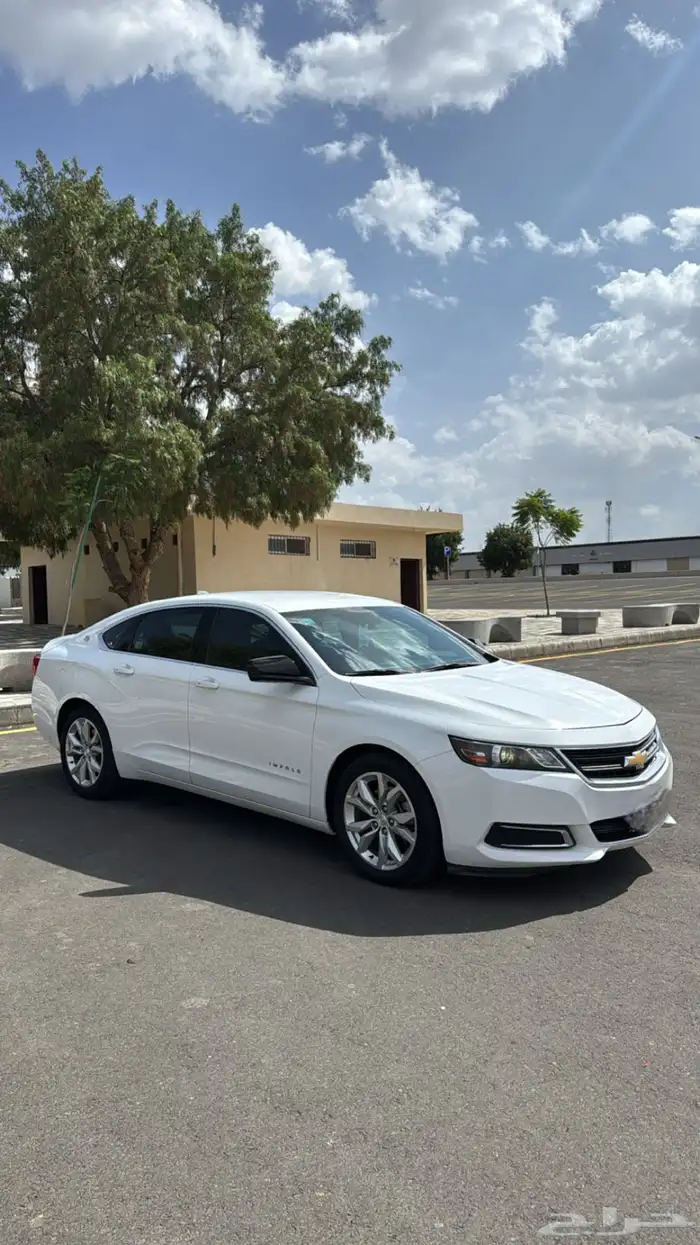 امبالا 2018ستاندر مطور وكاله 1