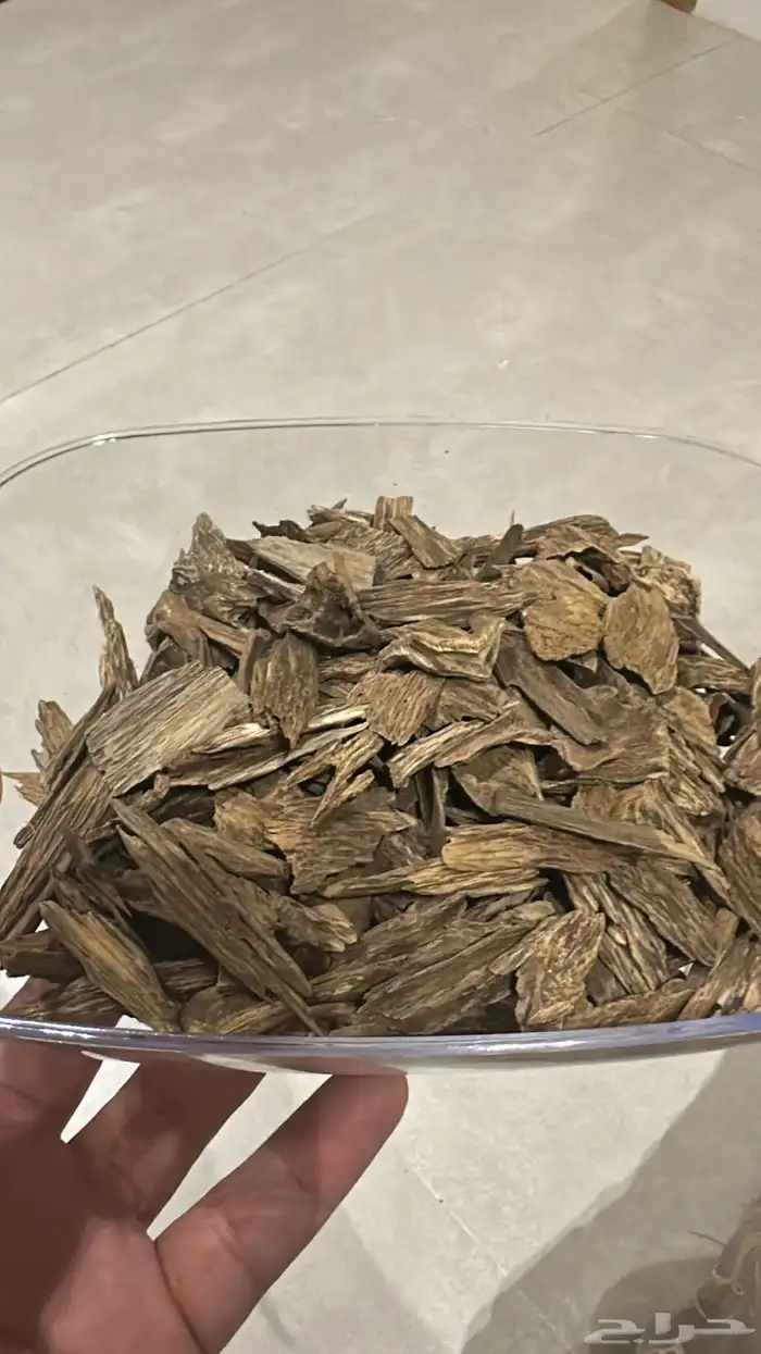 بروناي ملكي دبل ( تم البيع ) 0