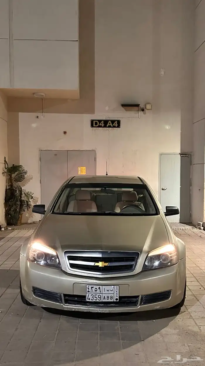 كابرس بلد 20