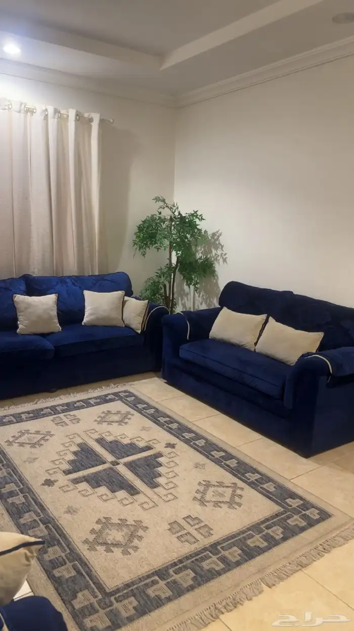 كنب 11 مقعد بحاله ممتازه نظيف مع سجاد وشجره 6
