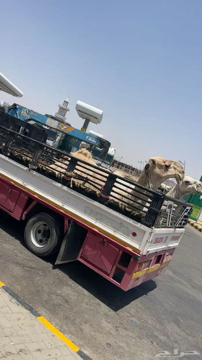 دنا هيدروليك 0