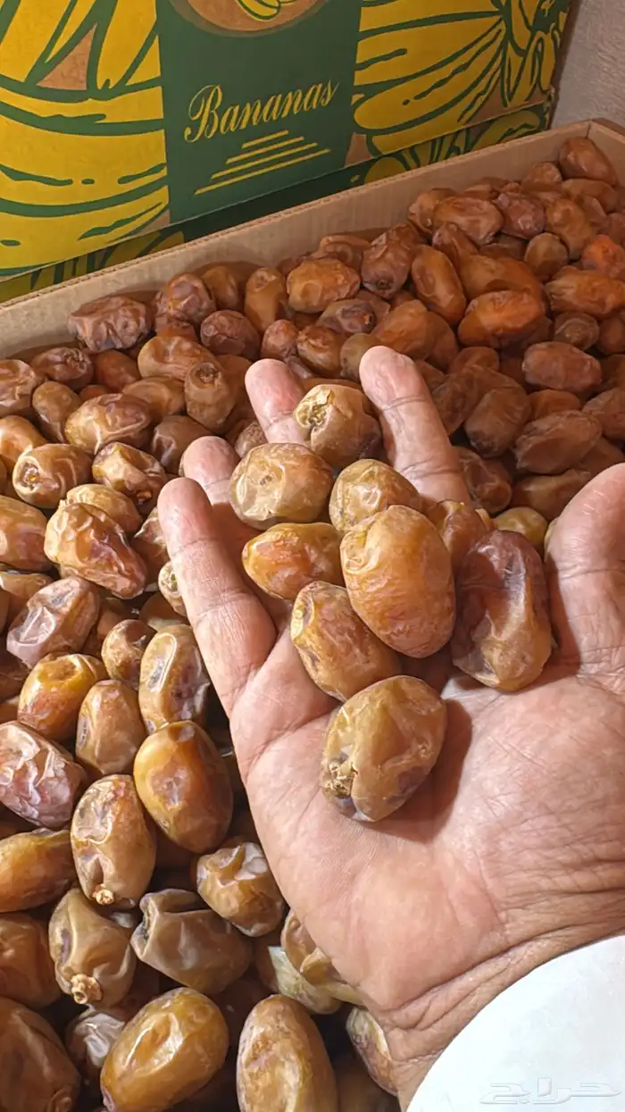 تمر خلاص طيب من المزرعه مباشر 0
