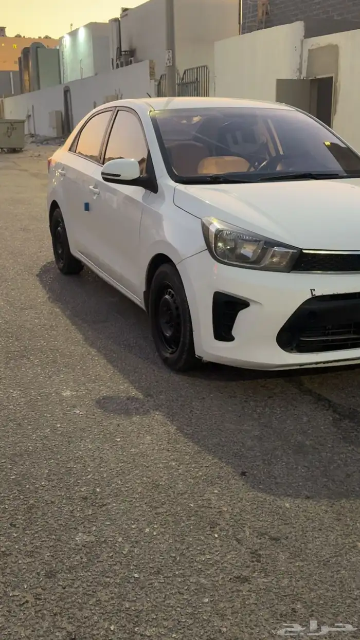 بيجاس 2020 2