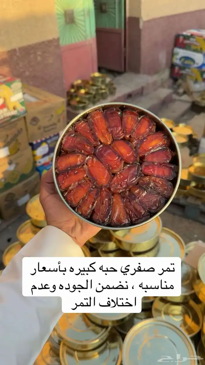 تمر صفري بيشه 5