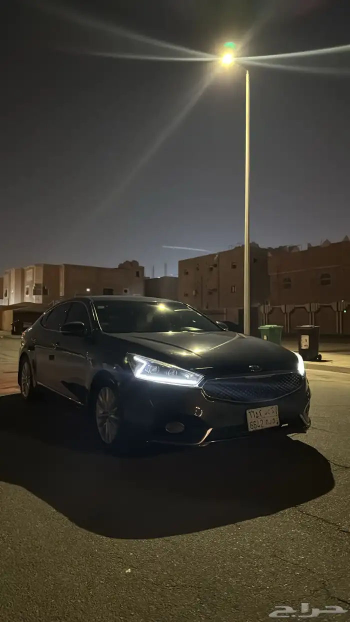 كادينزا2018 26