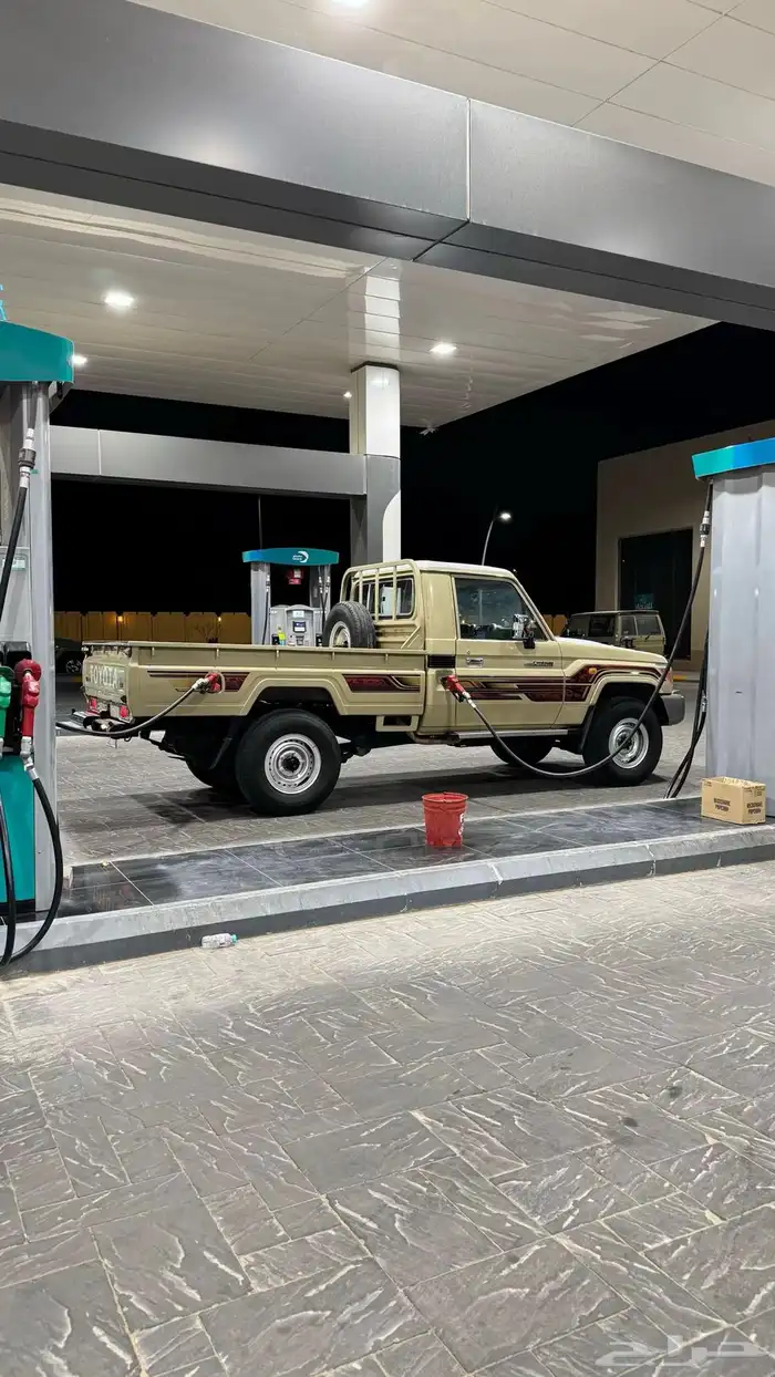 مطلوب شاص 0