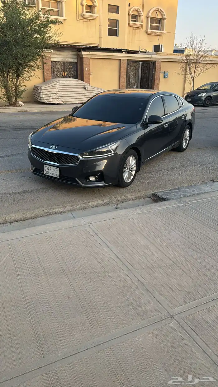 كادينزا2018 3