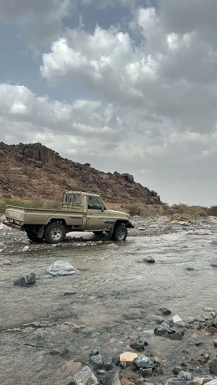 شاص 85 1
