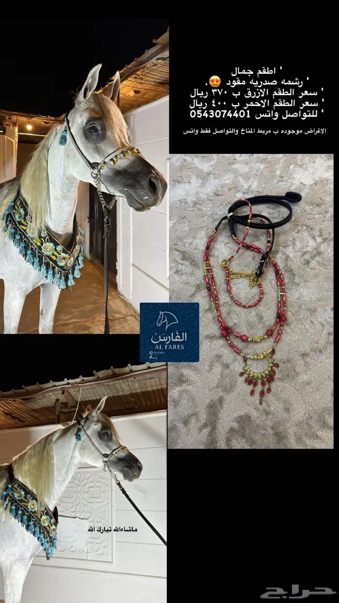 زينة للخيل 3