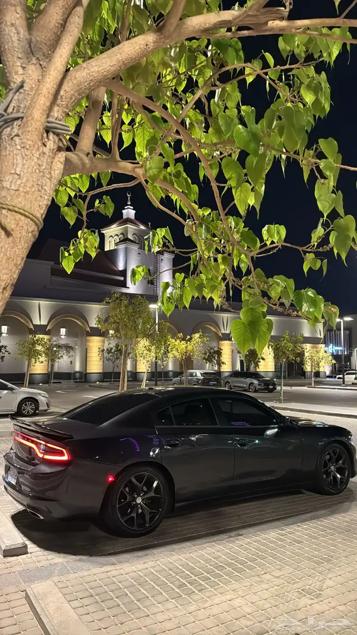 دوج. 6 سندر 10