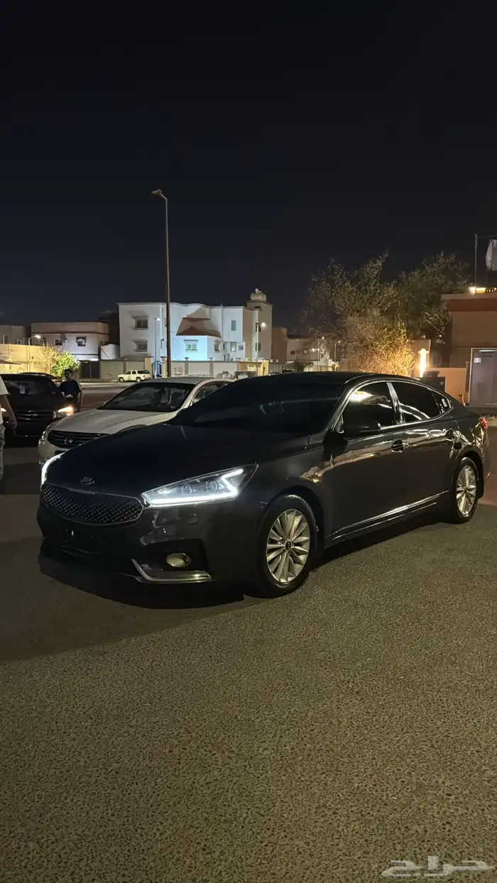 كادينزا2018 5