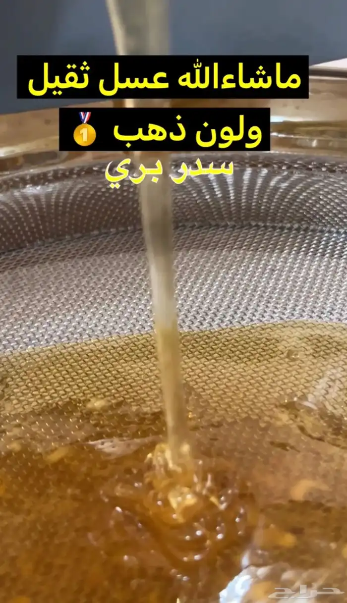 عسل طلح و سدر بري 3