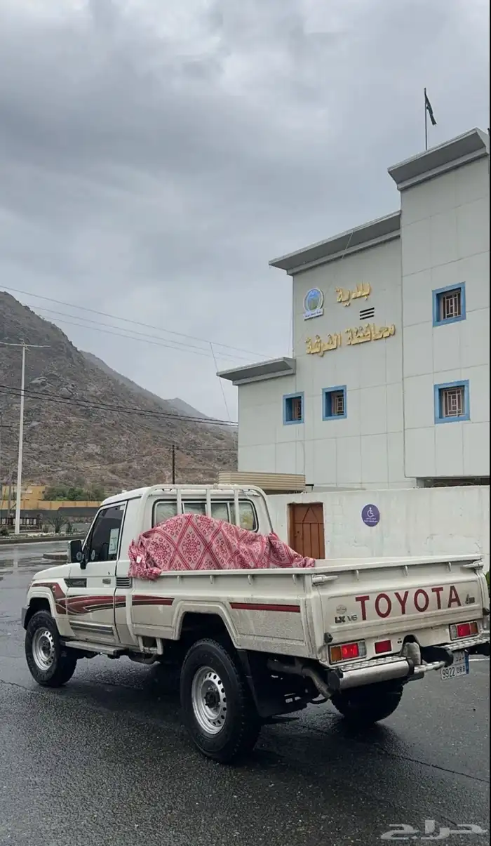 مطلوب شاص 2018 2019 2020 اي لون 0