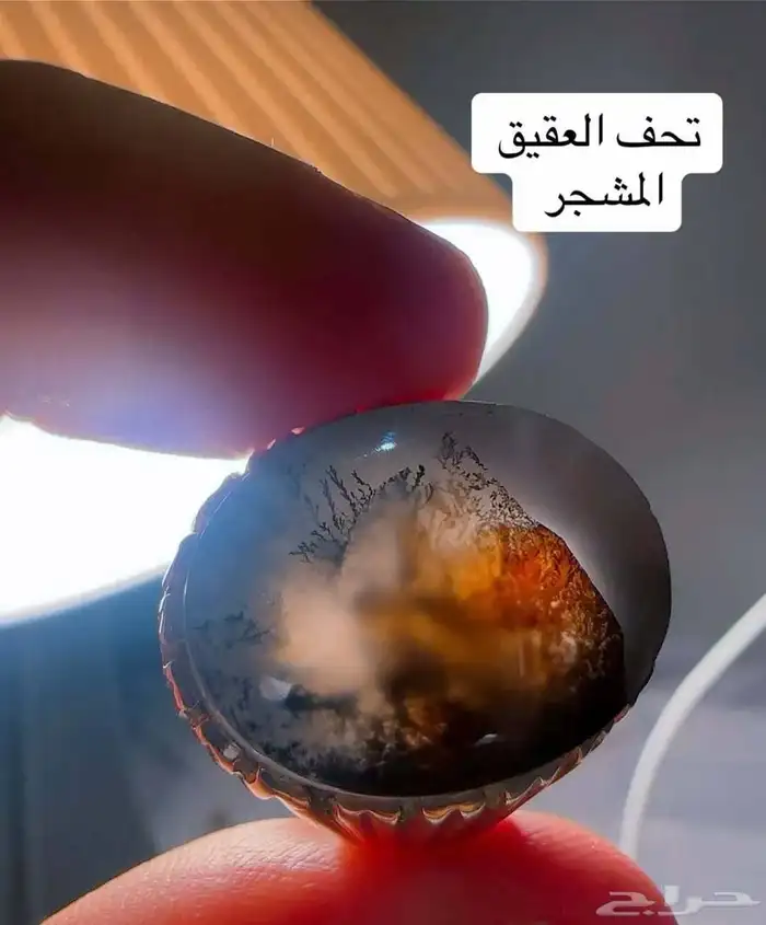 نوادر العقيق 91
