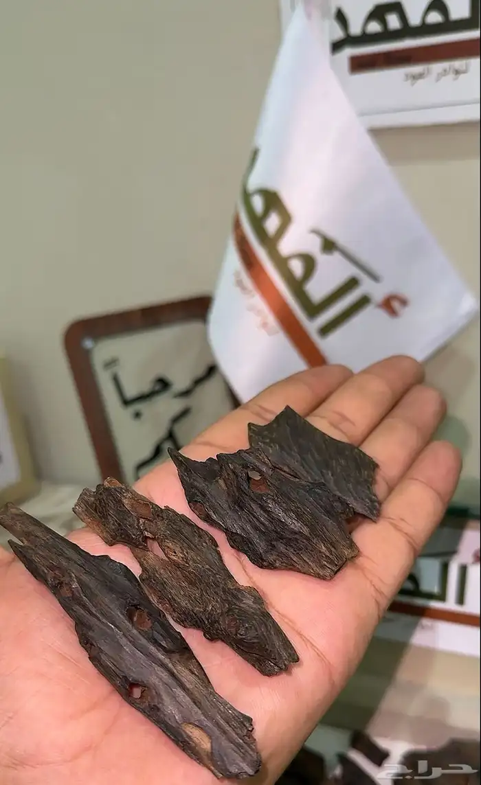 عود ازرق بنقالي دبل تربل ملكي 0