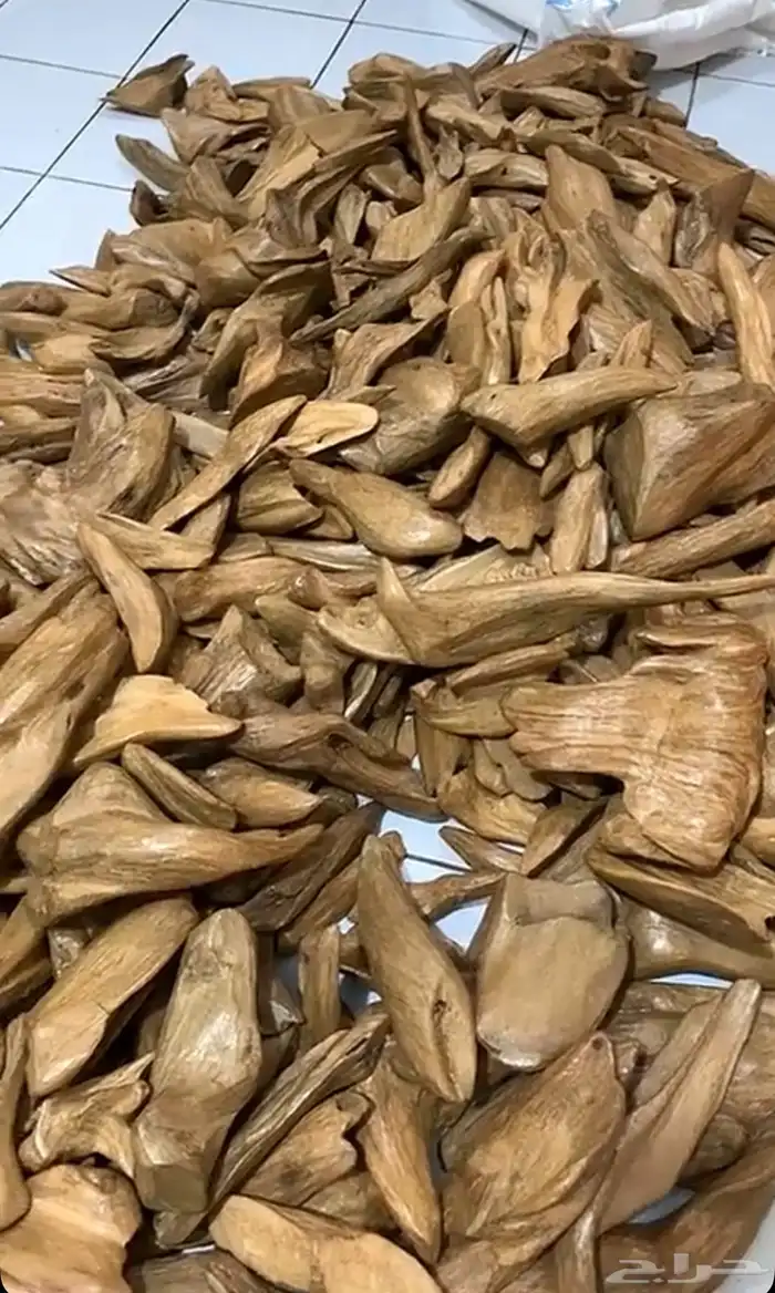 عود مروكي طبيعي قطع كبيره 0
