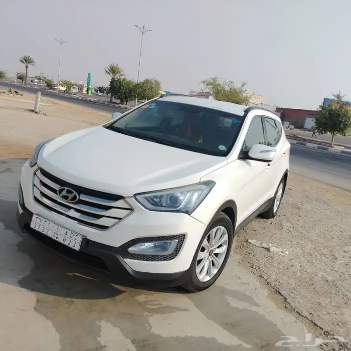 سنتافي 2014 7