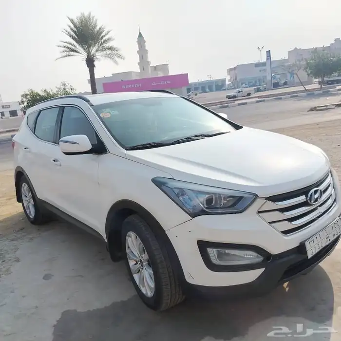 سنتافي 2014 0