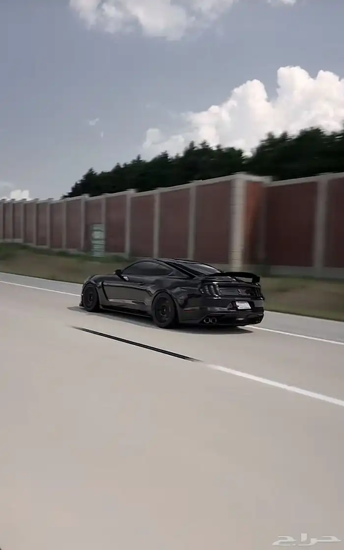 مطلوب مطلوبب موستنق من 2015-2017 v8 1