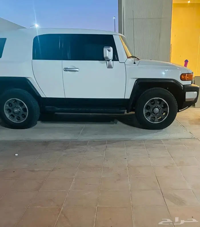 افجي 2013 3