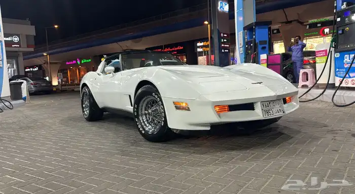 كورفيت 1981 للايجار 7