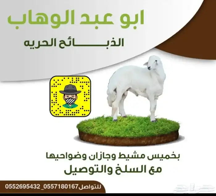 خرفان ذبايح ثلاجات ومناسبات مع السلخ والتوصيل 14