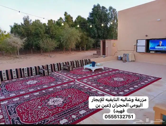 مزرعه وشاليه النايفه للإيجار اليومي شرق عين ابن فهيد 13