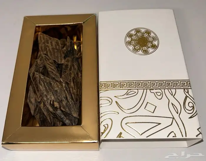 عرض مجنون بمناسبة يوم المعلم  على العود الاندونيسي 0