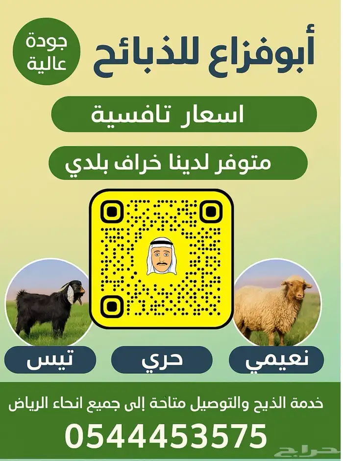 خرفان سواكن مرابي 4شهور فل شحم شرط اللحم والطعم 13