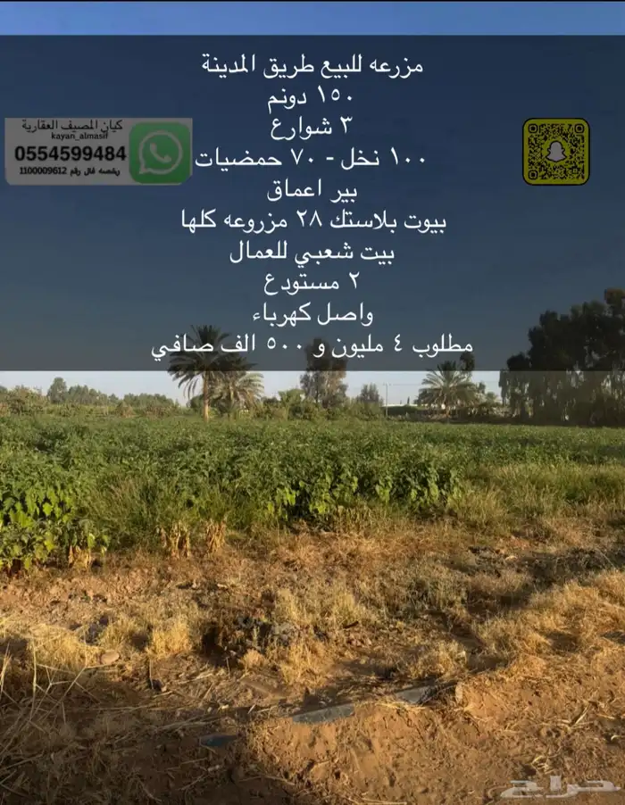أراضي زارعية للبيع بتبوك 10