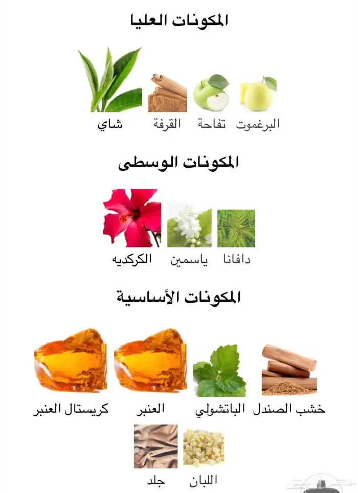 عطر كوستوم ناشونال سينت إنتنس 4