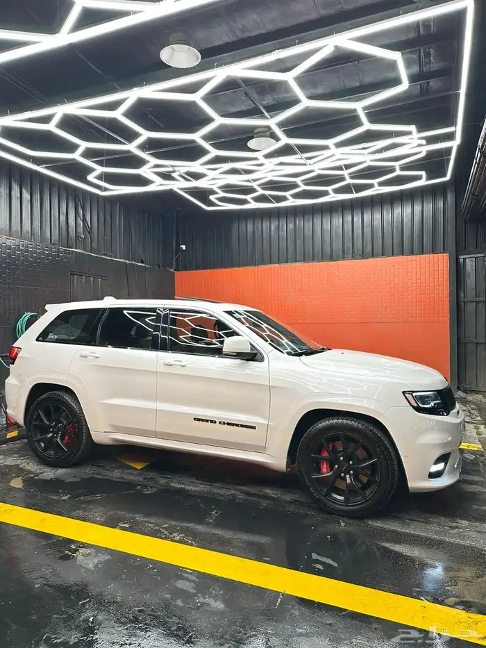 SRT2018 12