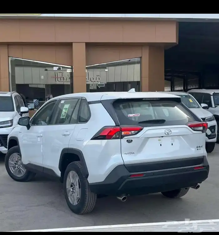 راف فور استندر دبل هايبرد 1