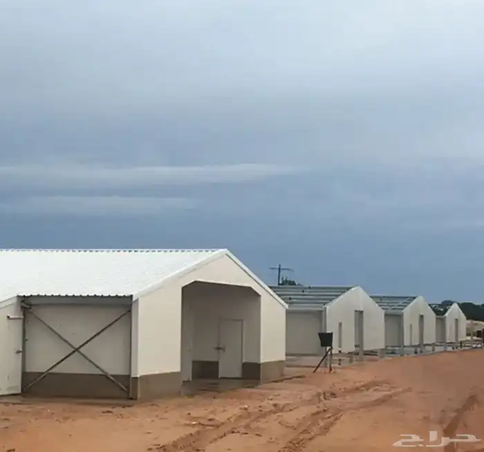 مقاول حظاير الدواجن سعر مناسب 6