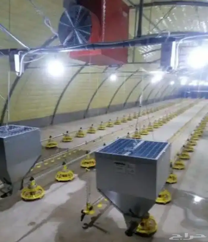 مقاول حظاير الدواجن سعر مناسب 3