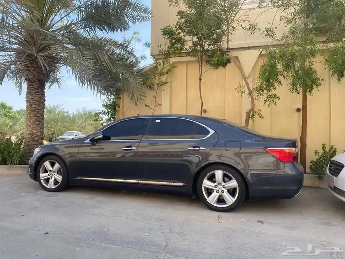 الهفوف 2