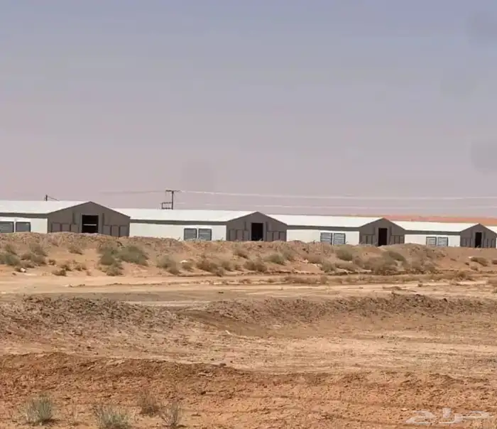 مقاول حظاير الدواجن سعر مناسب 4