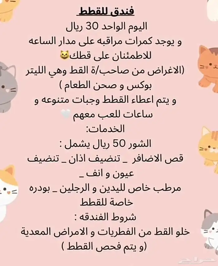 فندقه قطط 0