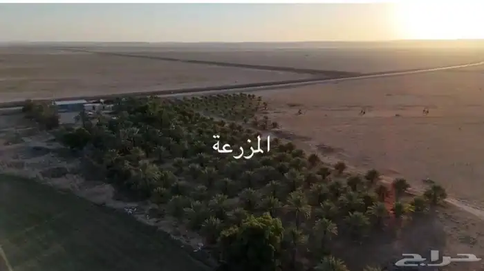 مزرعة بحمادة الغاط للبيع ( مستعجل ) 2
