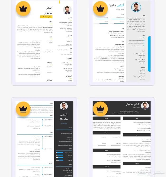 سيرة ذاتية بشكل احترافي  CV 0